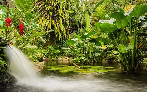 See Butterflies at Kuala Lumpur Butterfly Park